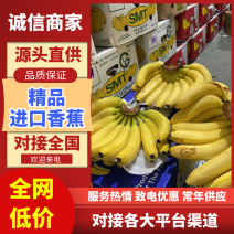 【优选】大量供应进口香蕉，芭蕉菲律宾越南，柬埔寨，欢迎联系
