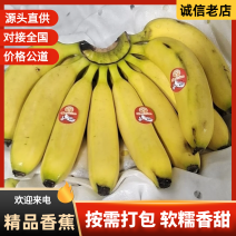 芭蕉大量现货，一手货源，常年供应菲律宾进口香蕉