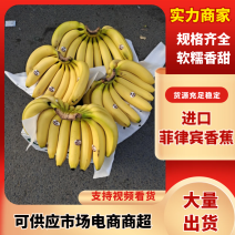 进口菲律宾香蕉，常年供应，量大从优，可视频看货