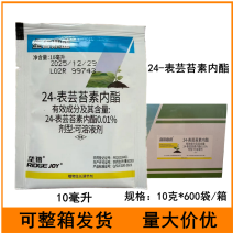 垄喜鼎盛24-表芸苔素内酯黄瓜调节生长农药植物生长调节剂