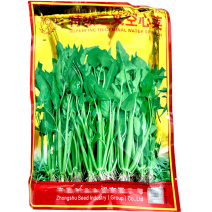 特级三叉空心菜种子大叶粗梗通心菜种籽根系发达春夏秋季播5