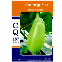 寿光春秋CQ187杂交油绿茄子种子长灯泡形大田基地高产