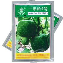 一串铃4号冬瓜种子春播早熟高桩节间短有有白粉小冬瓜籽