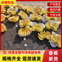 上海香蕉特价进口菲律宾索菲娅佳农香蕉批发地摊商超品质