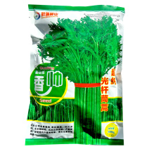 香帅光杆茼蒿种子500g纯度高小叶产量高皇帝菜蔬菜种子