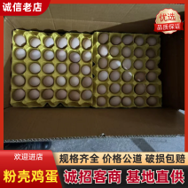 精品双色粉壳土鸡蛋，蒸炒煮蛋黄金黄色，一手货源，量大更优