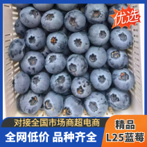 [牛]花香L25-L11~F6-优瑞卡蓝莓对接电商，批发代发