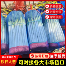 [牛]山东铁杆大葱承接餐饮食堂加工批发电商社区团购直播带货