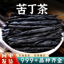 苦丁茶中药材四川大叶苦丁茶新茶古丁茶茶叶安国中药材批发