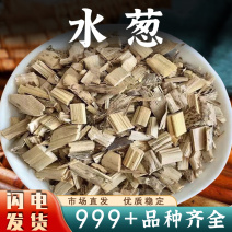 水葱别名冲天草翠管草管子草安国中药材批发