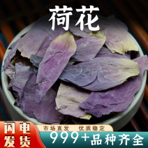 荷花中药材泡水荷花安国中药材批发