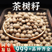 茶树籽贵州深山老山茶籽油茶籽可榨油带壳油料安国中药材批发