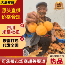 〔一件代发〕京东四川汉源/石棉套袋果大五星枇杷各渠道平台