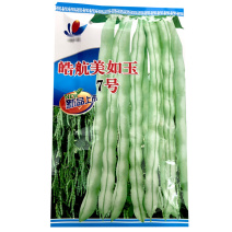 架豆种子美如玉7号白花芸豆种籽嫩荚白绿长架豆早熟芸豆春秋