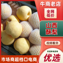 [牛]酥梨大量供应对接市场商超电商社区团购品质保证