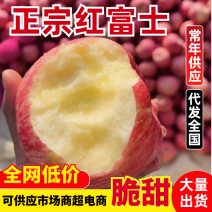 红富士苹果纸袋的，条纹红富士苹果，纸袋的