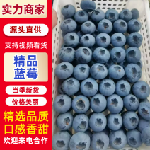 蓝莓花香25L11F6优瑞卡产地直发品质保证