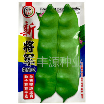 将军架豆油豆种子100g绿荚厚肉无筋炖菜东北宽油豆籽
