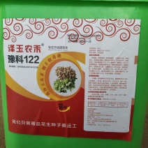 泽玉农禾豫科122花生种，产地直发，量大价优