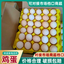 [牛]鸡蛋粉蛋普通蛋初生蛋品类齐全可对接全国市场客商视频