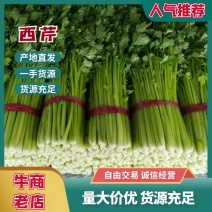 【热卖】精品西芹芹菜量大从优对接商超全国欢迎致电联系