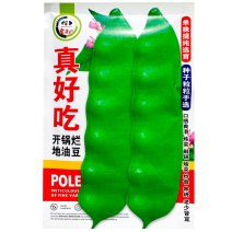 真好吃地油豆种子不上架油豆角开锅烂地油豆种籽春秋播种不易