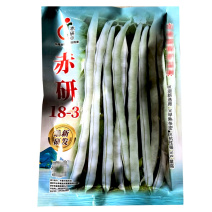 赤研18-3芸豆种子无筋架豆早熟春秋九粒白种籽荚多高产豆