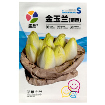 金玉兰菊苣种子软化菊苣籽高产耐阴高产大田种植