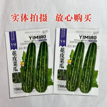 花皮菜瓜种子绿皮甜瓜种子酥瓜酱瓜脆瓜丰产早熟烧瓜青皮菜瓜