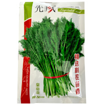 割茬茴香种子扁梗皇帝菜种籽连续收割2至5茬茴香种籽春秋播