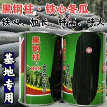 黑钢柱铁心冬瓜种子加长特大黑皮冬瓜种子籽杂交种基地用