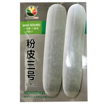粉皮大冬瓜种子粉皮三号大冬瓜种籽中晚熟耐热冬瓜