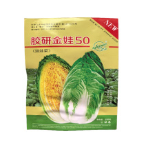 胶研金娃50娃娃菜种子高产黄心小白菜种子基地