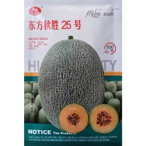 哈密瓜种子东方秋胜25号杂交中粗全网纹甜瓜种籽肉厚耐裂果