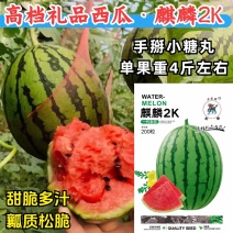 麒麟2K西瓜种子礼品西瓜薄皮耐裂小糖丸红瓤甜脆多汁小西瓜