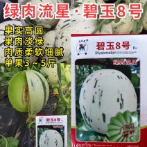 绿肉流星甜瓜种子碧玉8号白皮绿肉绿星斑软糯玉菇姑甜香瓜种