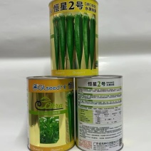 恒星2号水果秋葵种子深绿耐雨水进口黄秋葵种子