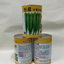 新恒星水果秋葵种子翠绿进口黄秋葵种子高产杂交