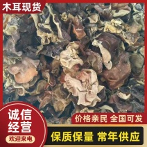 【精品】毛木耳大量供应黑木耳山东济宁发货量大从优全年有
