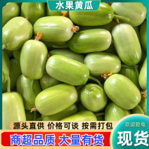 山东水果黄瓜，荷兰小黄金童玉女小黄瓜一件代发直播带货对接