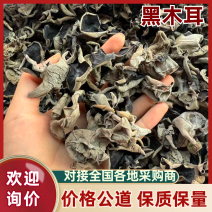 东北原货黑木耳/秋木耳/木耳