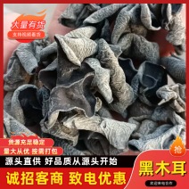 东北黑木耳/秋木耳/电商/地摊/展销会