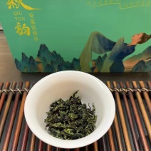 预售正宗福建安溪铁观音（春茶），可代收购毛茶