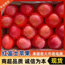 山东红富士苹果，口感脆甜，色泽亮丽，诚信经营，冷库直供