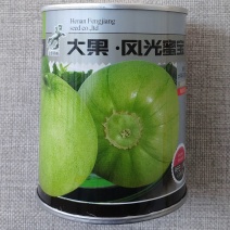 大果风光蜜宝甜瓜种子日本甜宝种籽香甜味浓高产优选香瓜种子