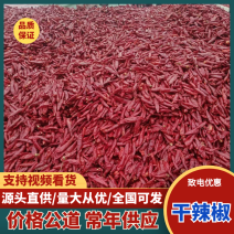 柘城三樱椒，香辣，色泽饱满，各种干辣椒，量大从优