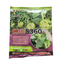 腾运S360油葵种子不怕雨水耐死棵矮杆高产矮大头油葵种子