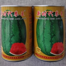 豫艺新时代拳王西瓜种子抗病优质龙卷风西瓜种籽沙瓤细嫩多汁