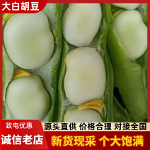 精品蚕豆大白胡豆质量保证诚信经营欢迎咨询