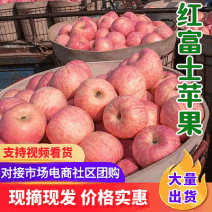 红富士苹果/山东苹果【常年供应全国发货】欢迎来电洽谈